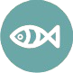 Pescado